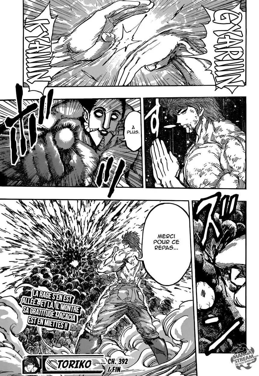 Toriko - 392 - 6556a1df777c9.webp