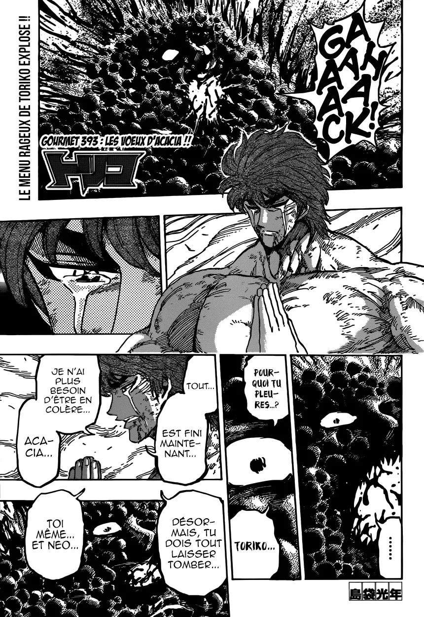 Toriko - 393 - 6556a1dfaab42.webp