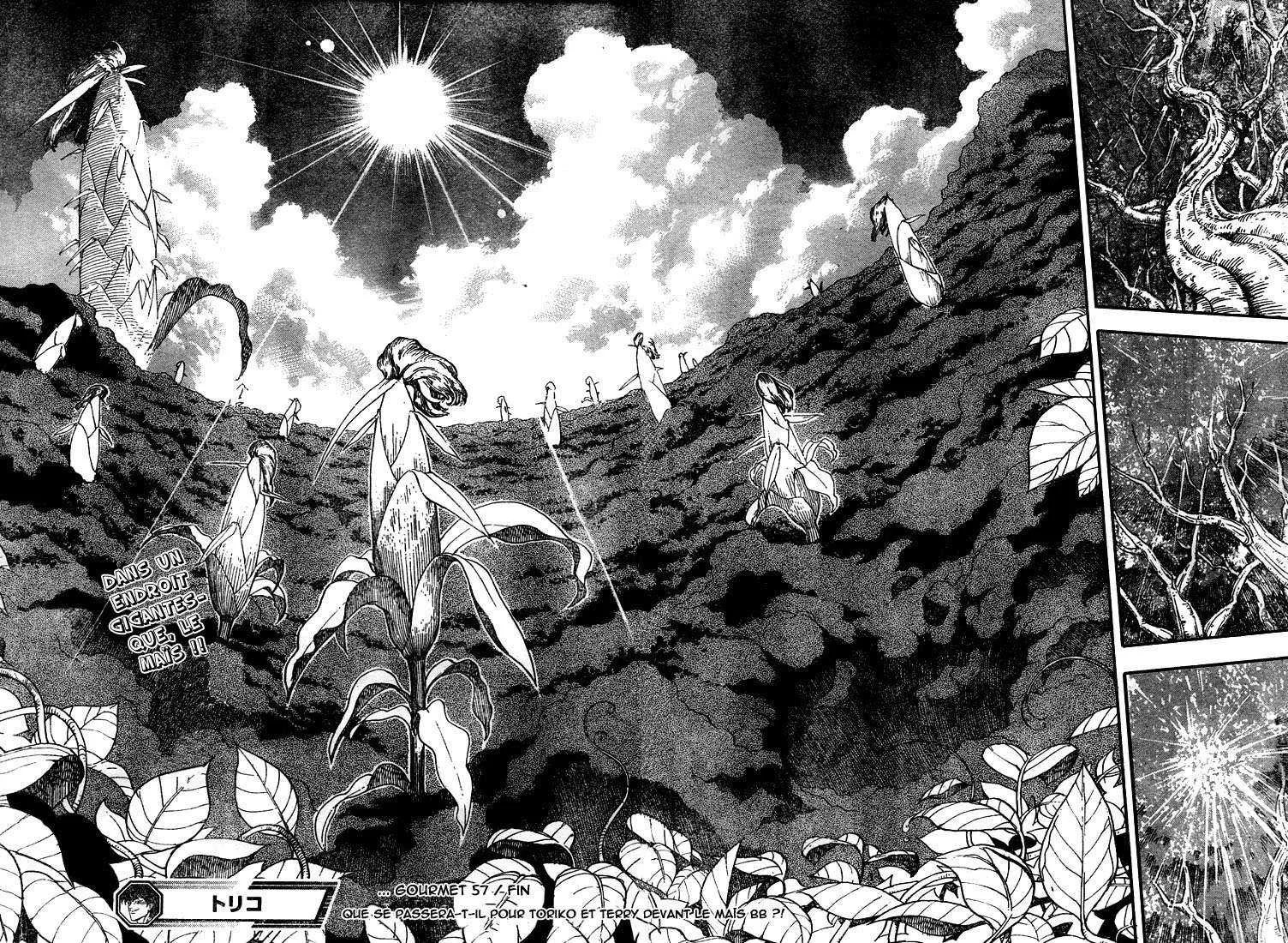 Toriko - 57 - 6556a237b3594.webp