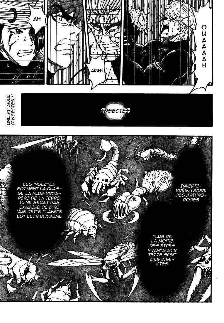 Toriko - 76 - 6556a279f3fbf.webp