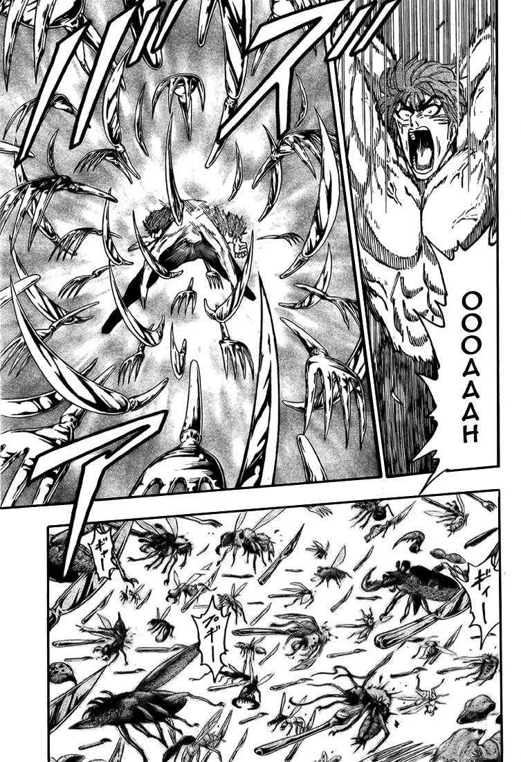 Toriko - 85 - 6556a29b302ea.webp