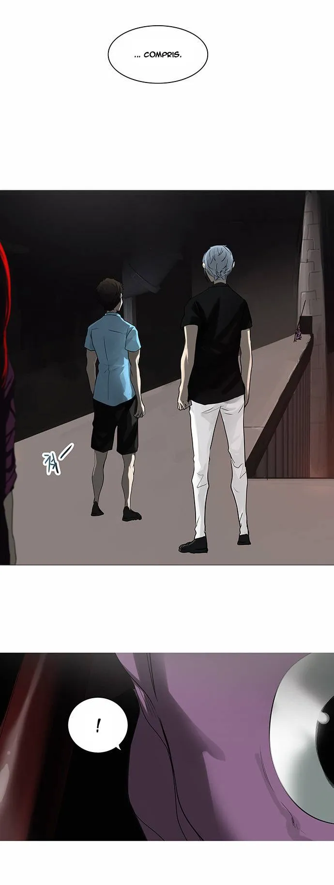 Tower Of God - 246 - 65ce800129e08.webp