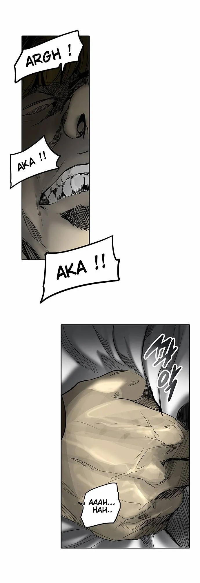 Tower Of God - 266 - 65ce80a3bbc96.webp