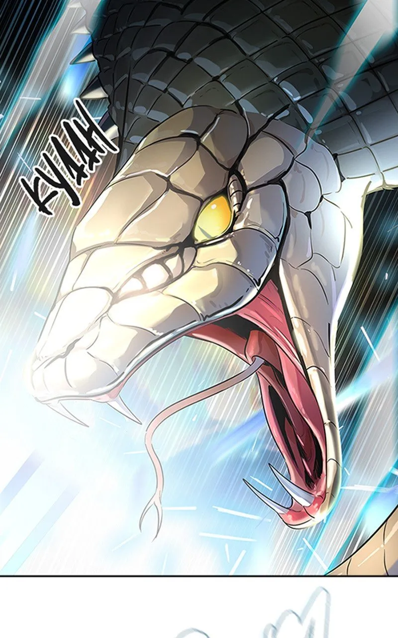 Tower Of God - 534 - 67b2790e0d252.webp
