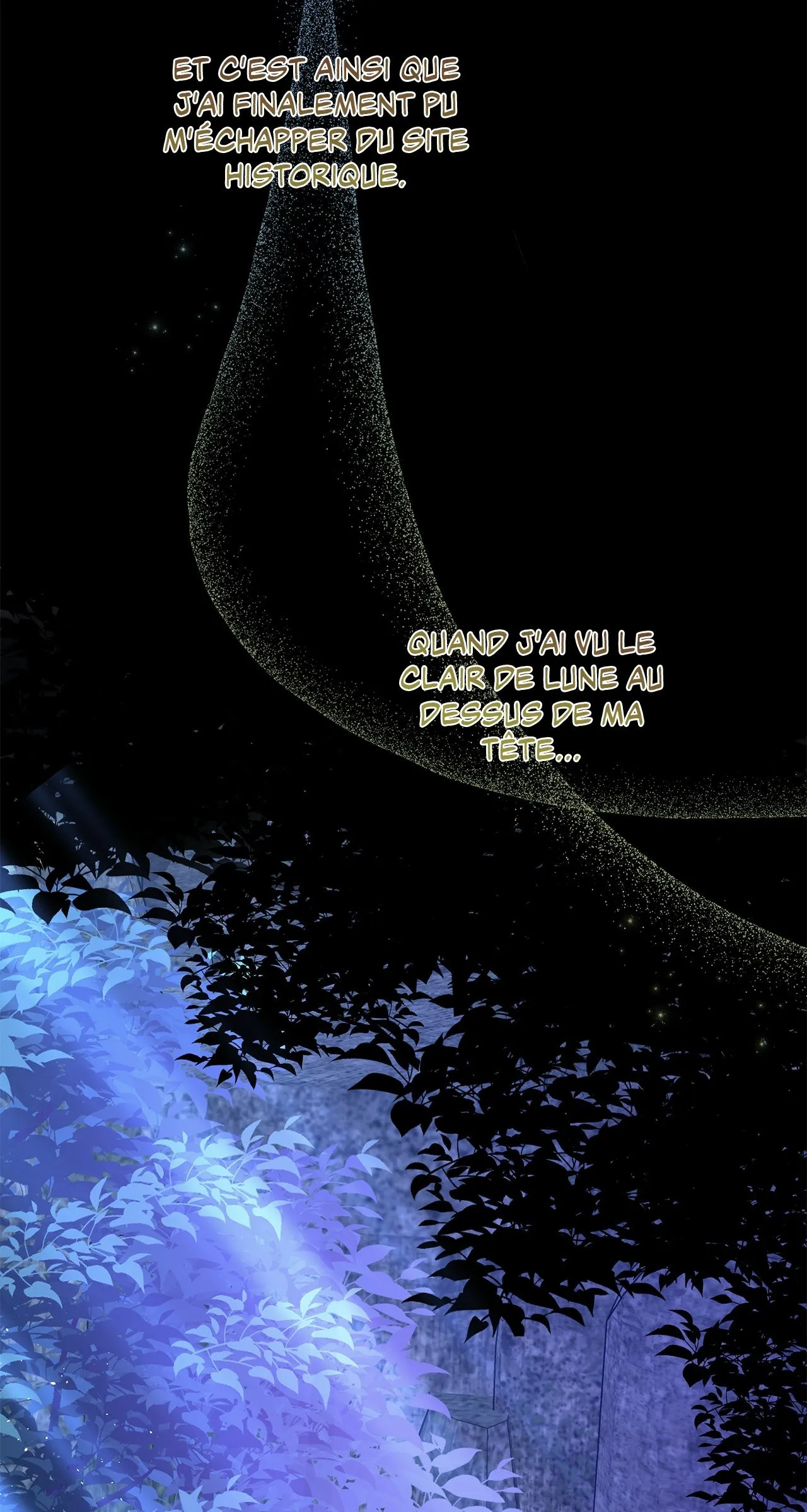 Traces Of The Moon - 16 - 67e40d3ee5d84.webp