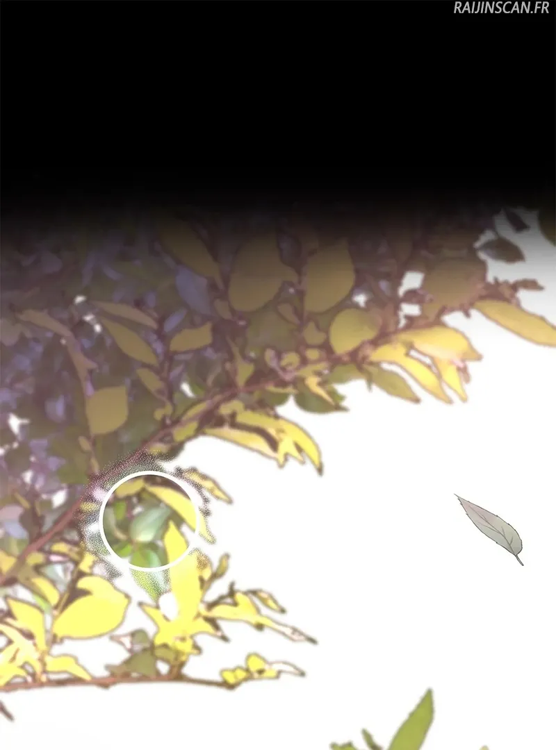 Traces Of The Moon - 8 - 67e41035a7aa6.webp