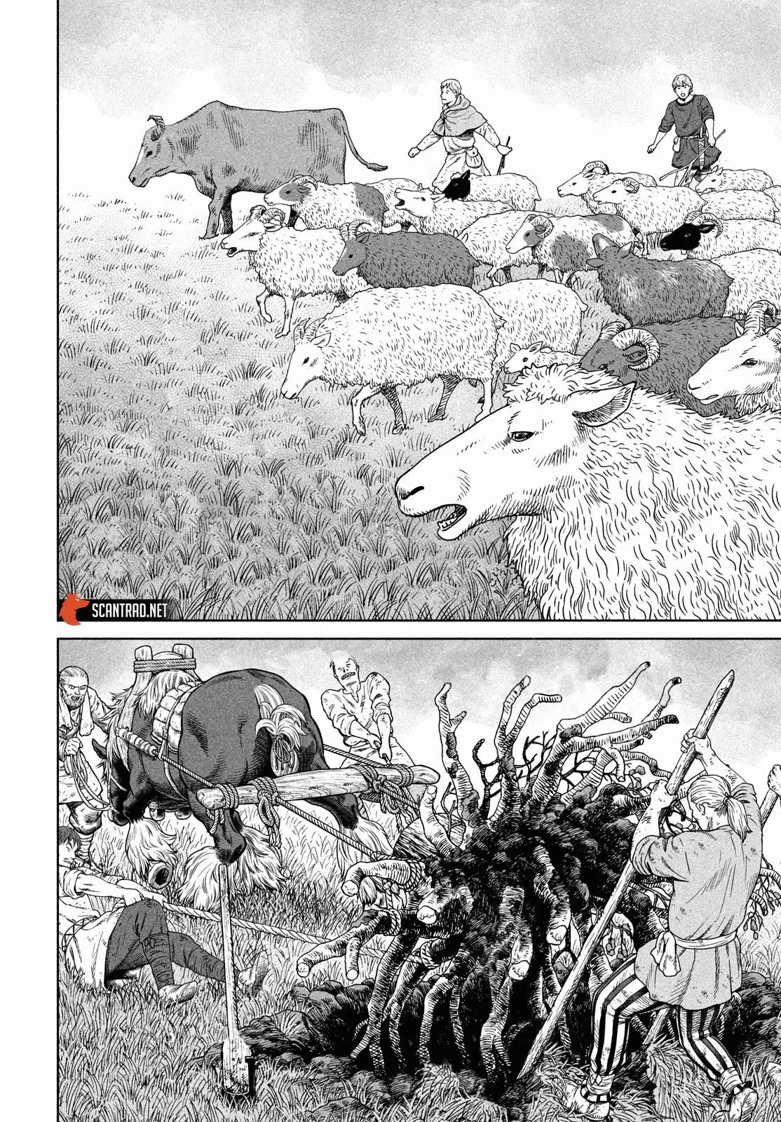 Vinland Saga - 181 - 67d39d8a8cff4.webp