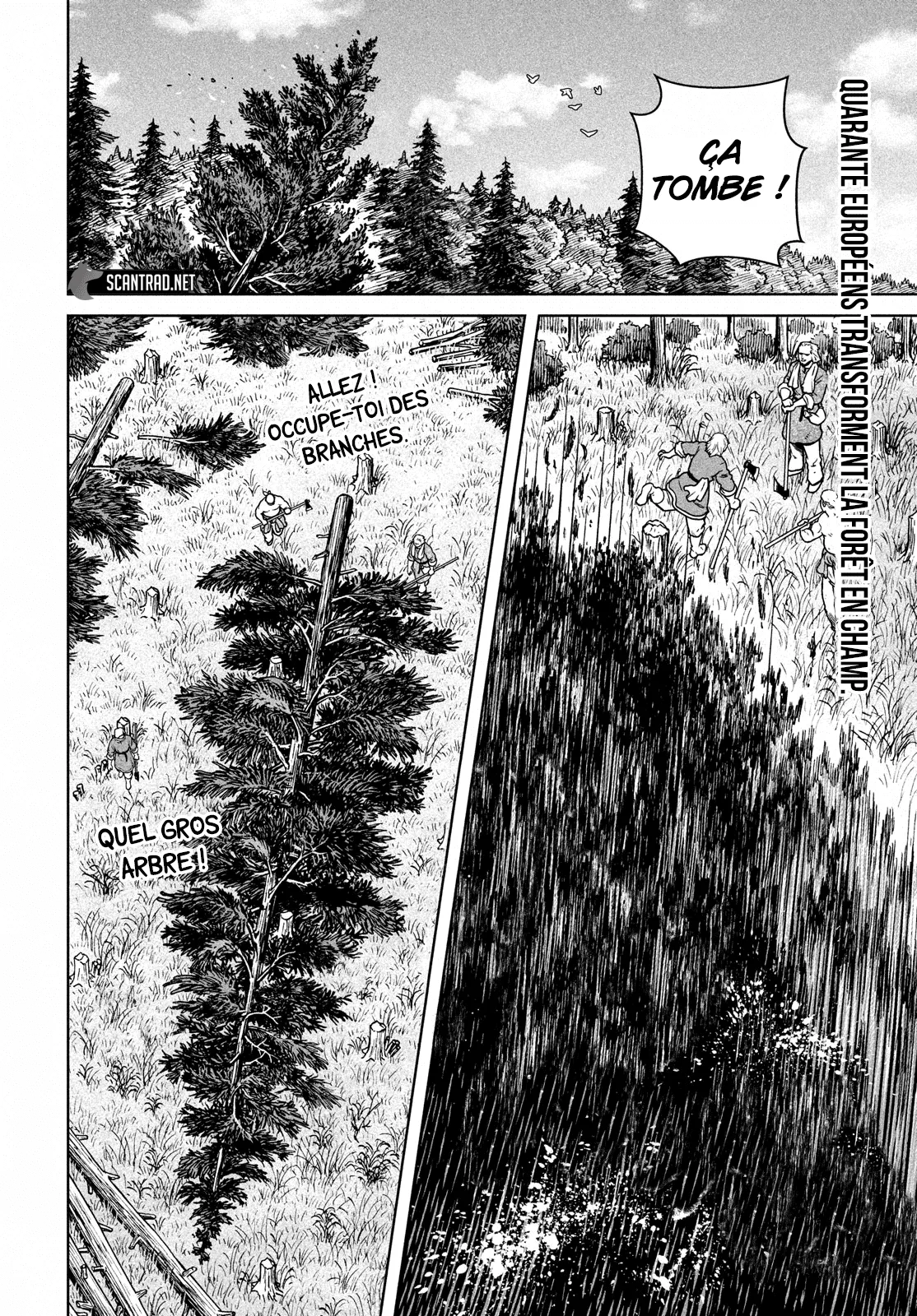 Vinland Saga - 183 - 67d39d9534b3f.webp