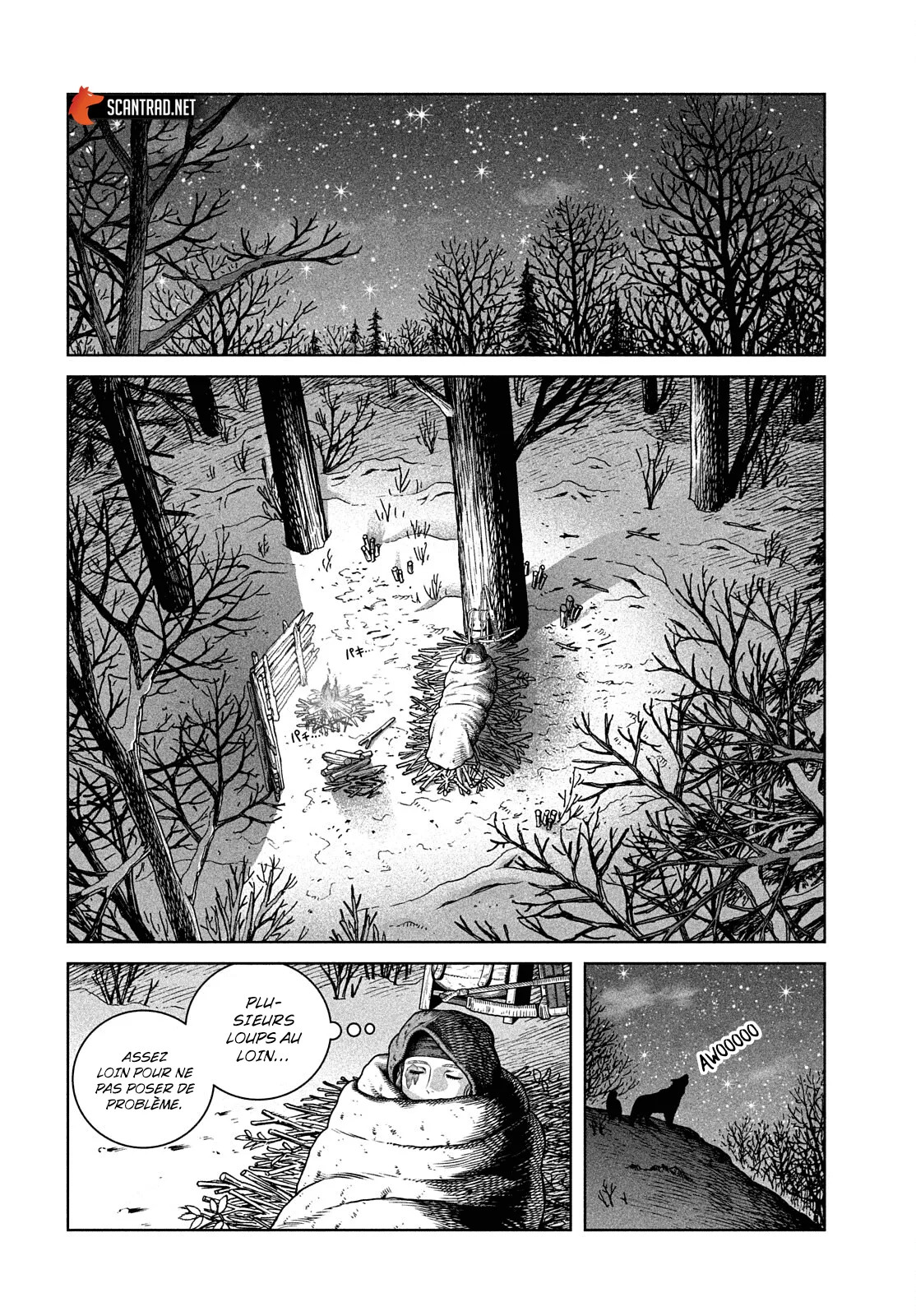 Vinland Saga - 188 - 67d39db8ec4c9.webp
