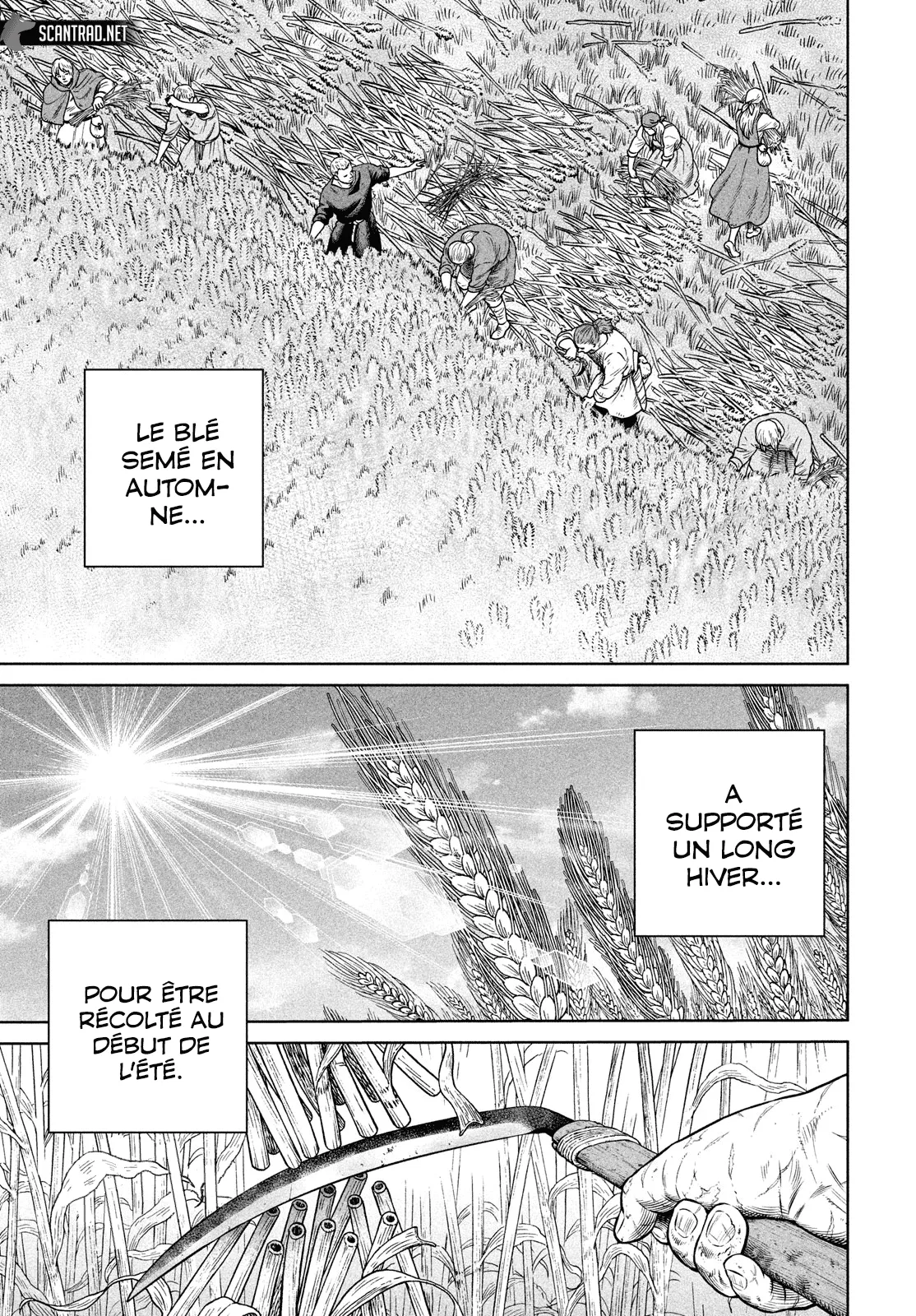 Vinland Saga - 191 - 67d39dcbf2751.webp