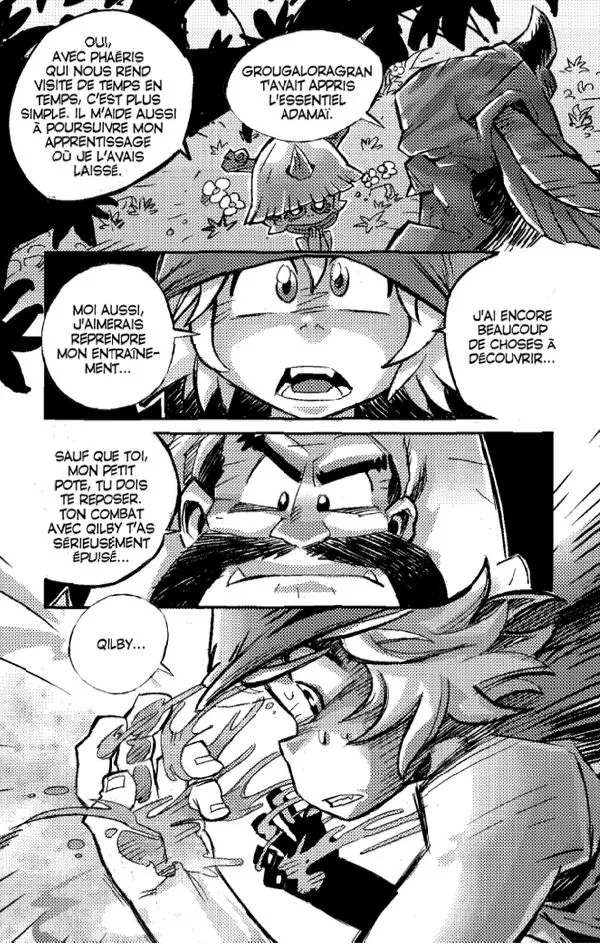 Wakfu - 1 - 65d678cf8cff0.webp