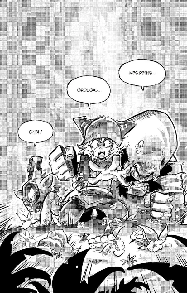 Wakfu - 1 - 65d678de92b3c.webp