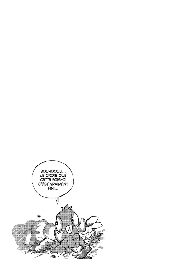 Wakfu - 2 - 65d67907e3d04.webp