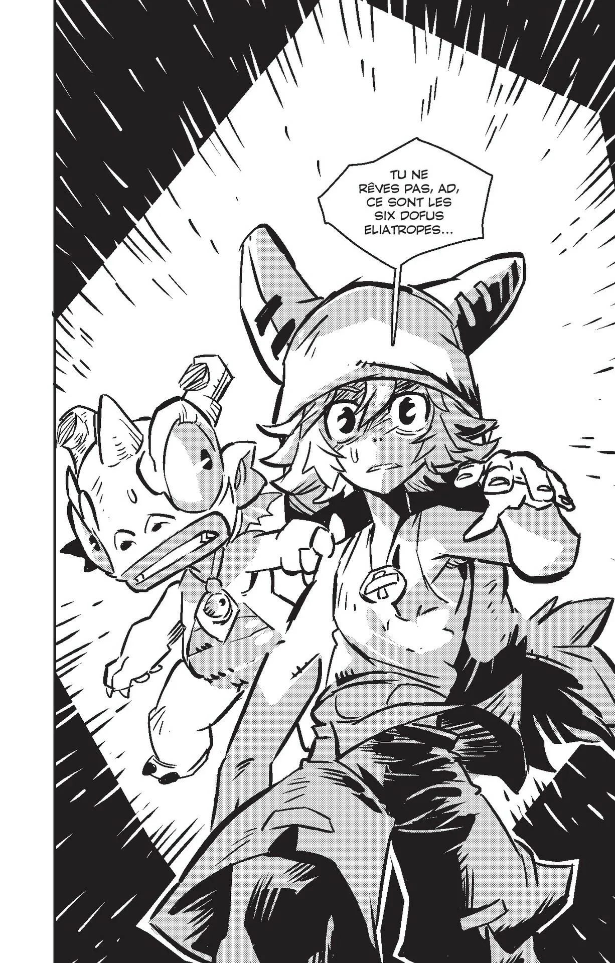 Wakfu - 4 - 65d6795fd7079.webp
