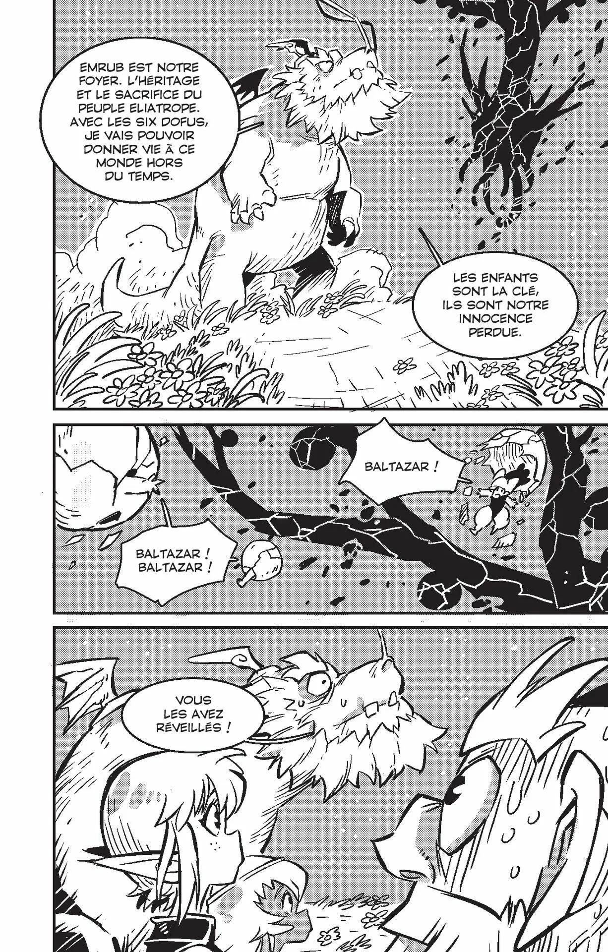 Wakfu - 4 - 65d6796d5dbbe.webp
