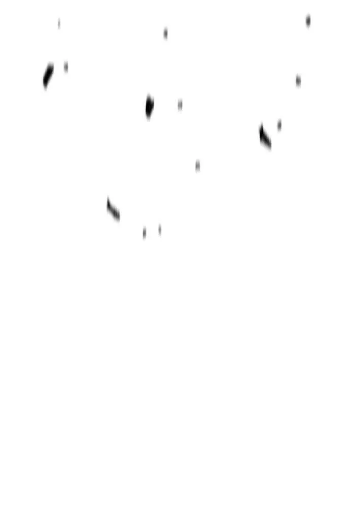 Wind Breaker - 519 - 67d4c011293a9.webp